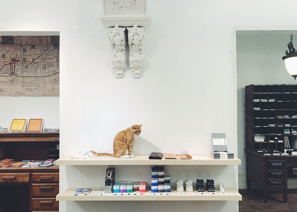 WONDER PENS STUDIO SHOP 06