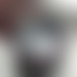 悪天候の日や夕方以降の暗さに対応するため、Aputure LEDライトを有効活用!