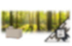 BTB Services BG 1 AD copy.jpg