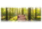 BTB Home BG AD copy.jpg