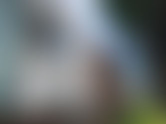 Heritage DA Approval Success: Creewood III Concord and a 5 Star Review