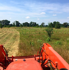 Bush Hogging service Henderson KY