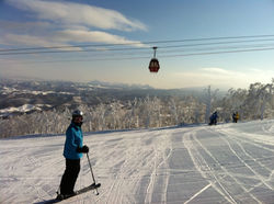 luxury rusutsu ski home