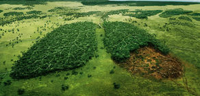 We are part of the Environment...