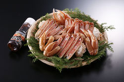 カット済み生ズワイカニ