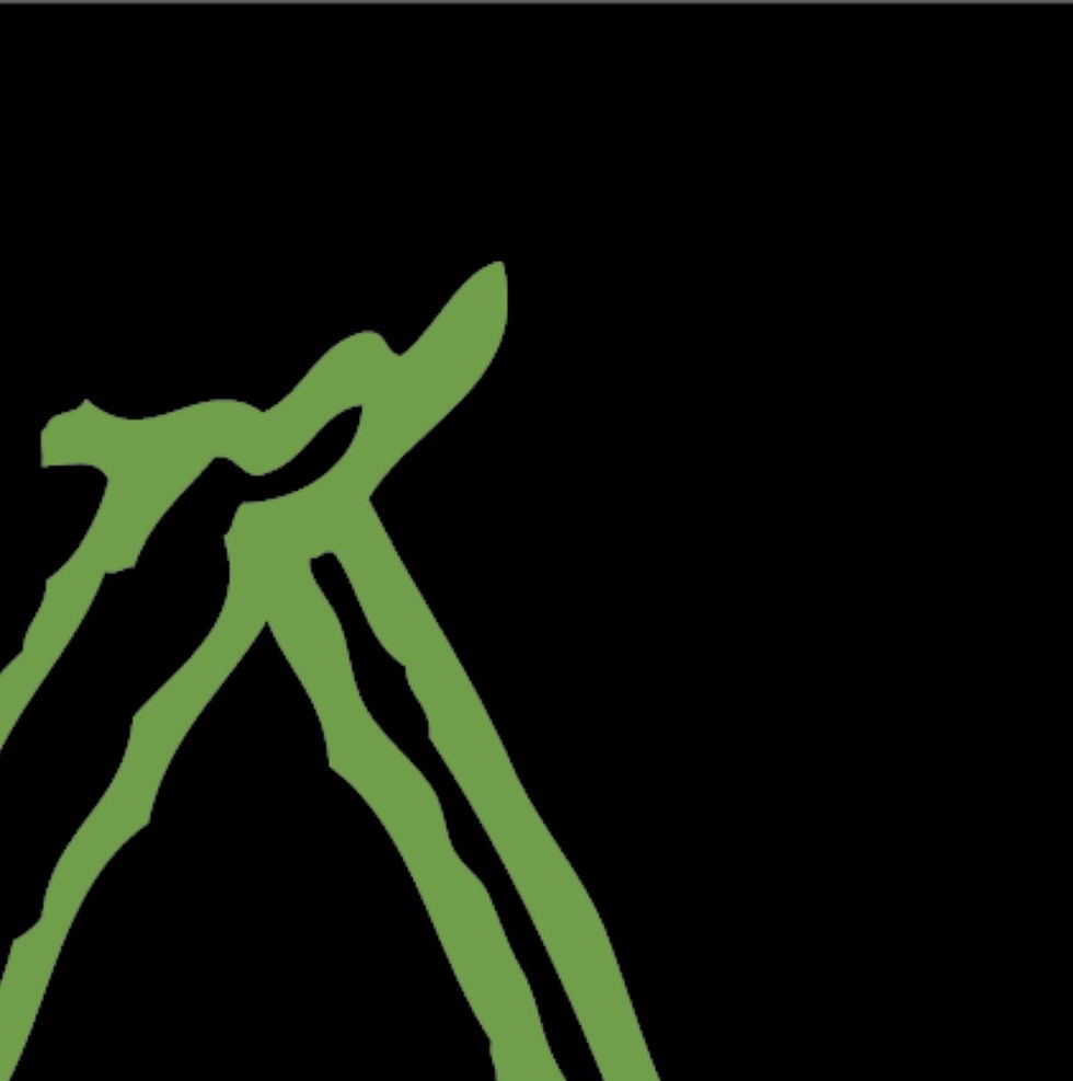 LATER IN THE SUMMER 0101-A8-sktch