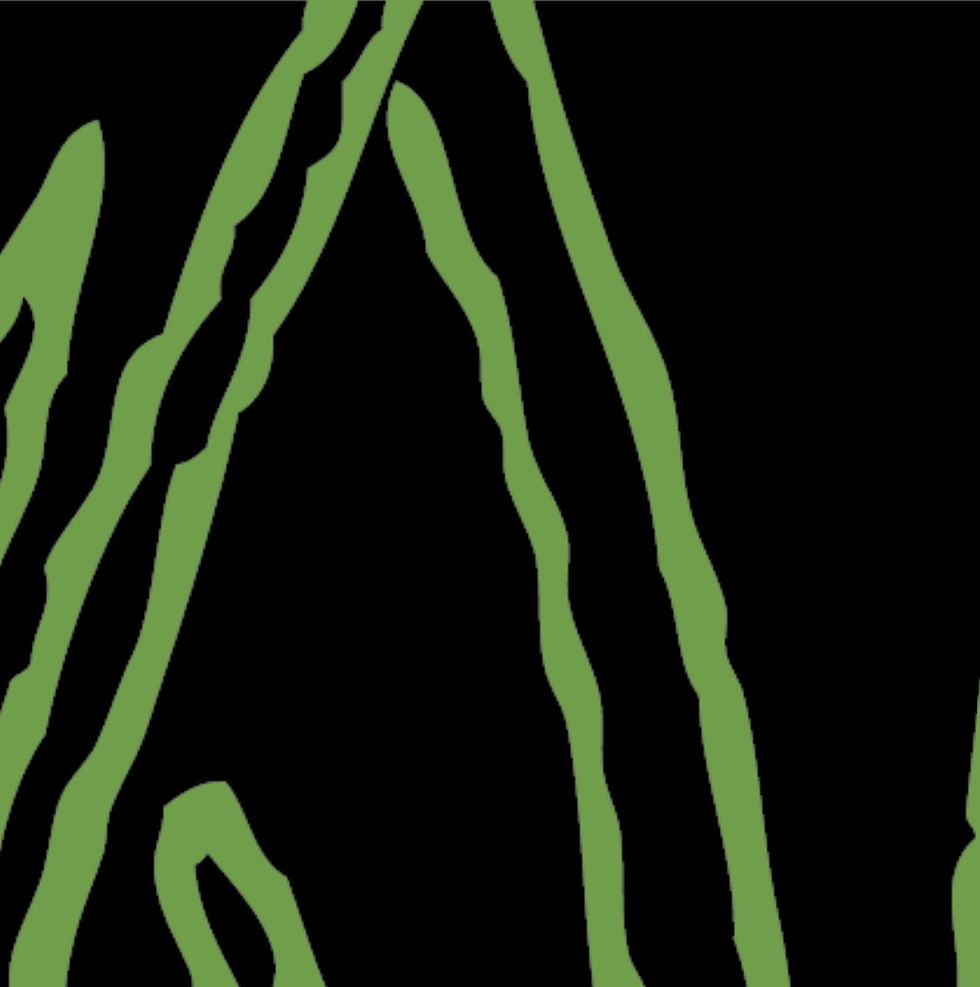 LATER IN THE SUMMER 0101-C5-sktch