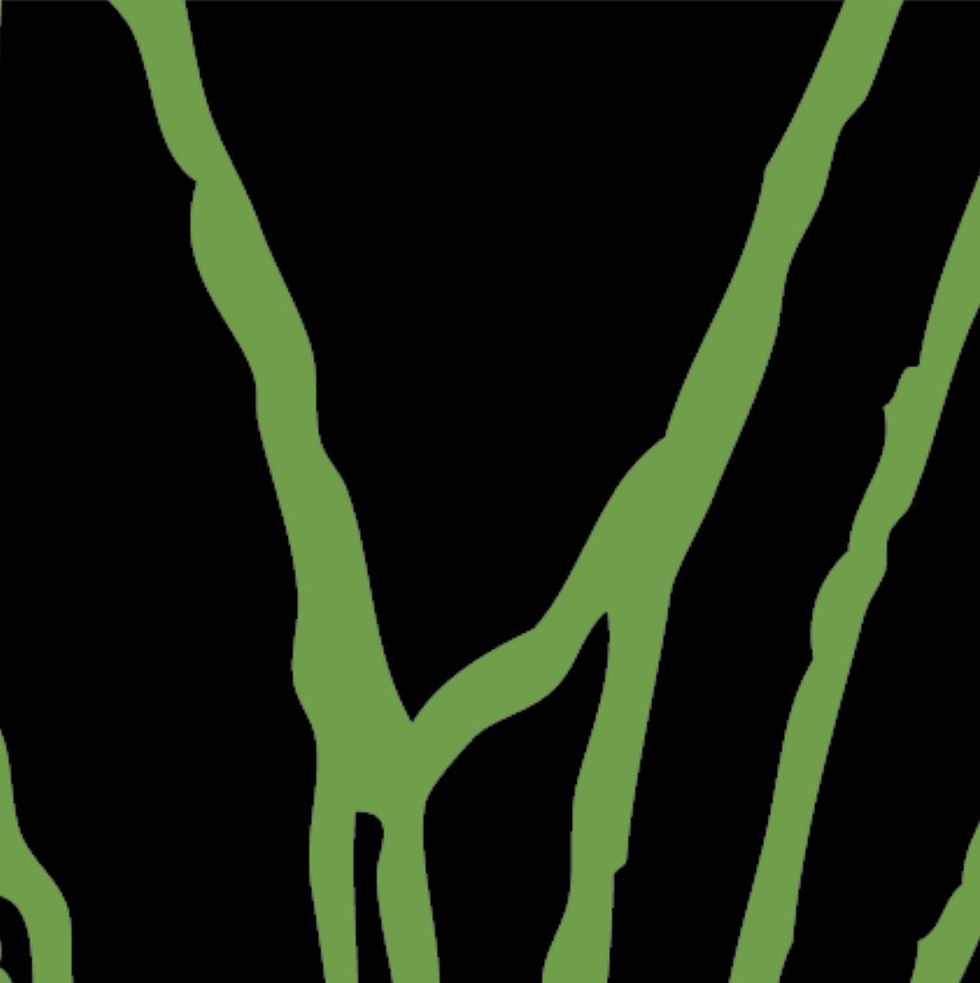 LATER IN THE SUMMER 0101-D9-sktch