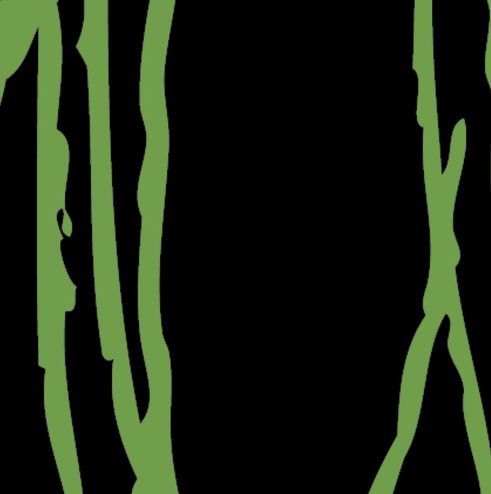 LATER IN THE SUMMER 0101-D7-sktch