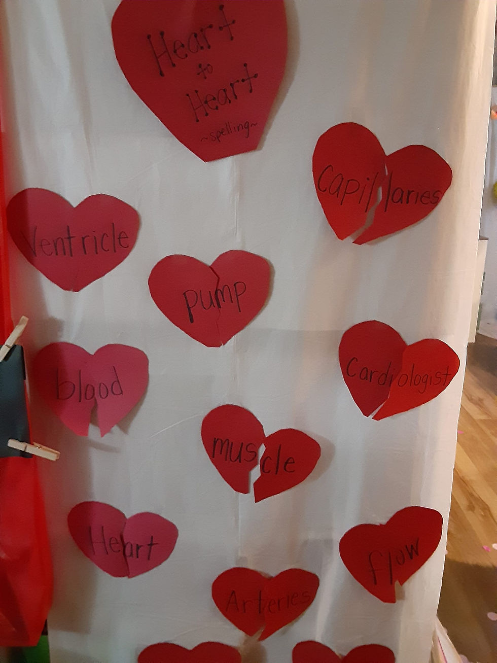 Heart Lesson Plan: Heart to Heart Learning Activity