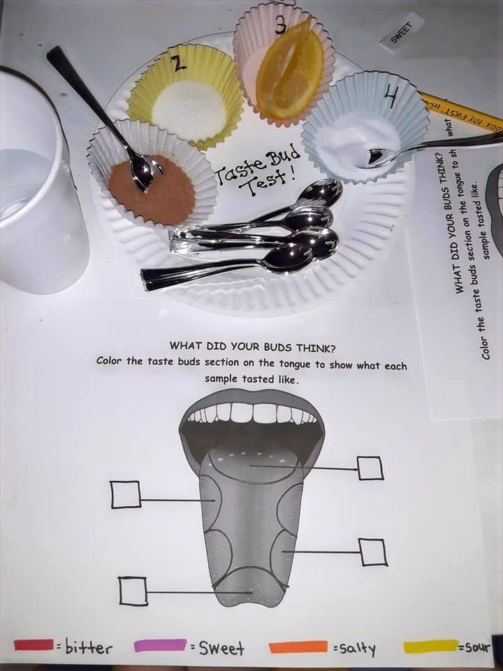 Dental Unit: Taste Bud Test Activity