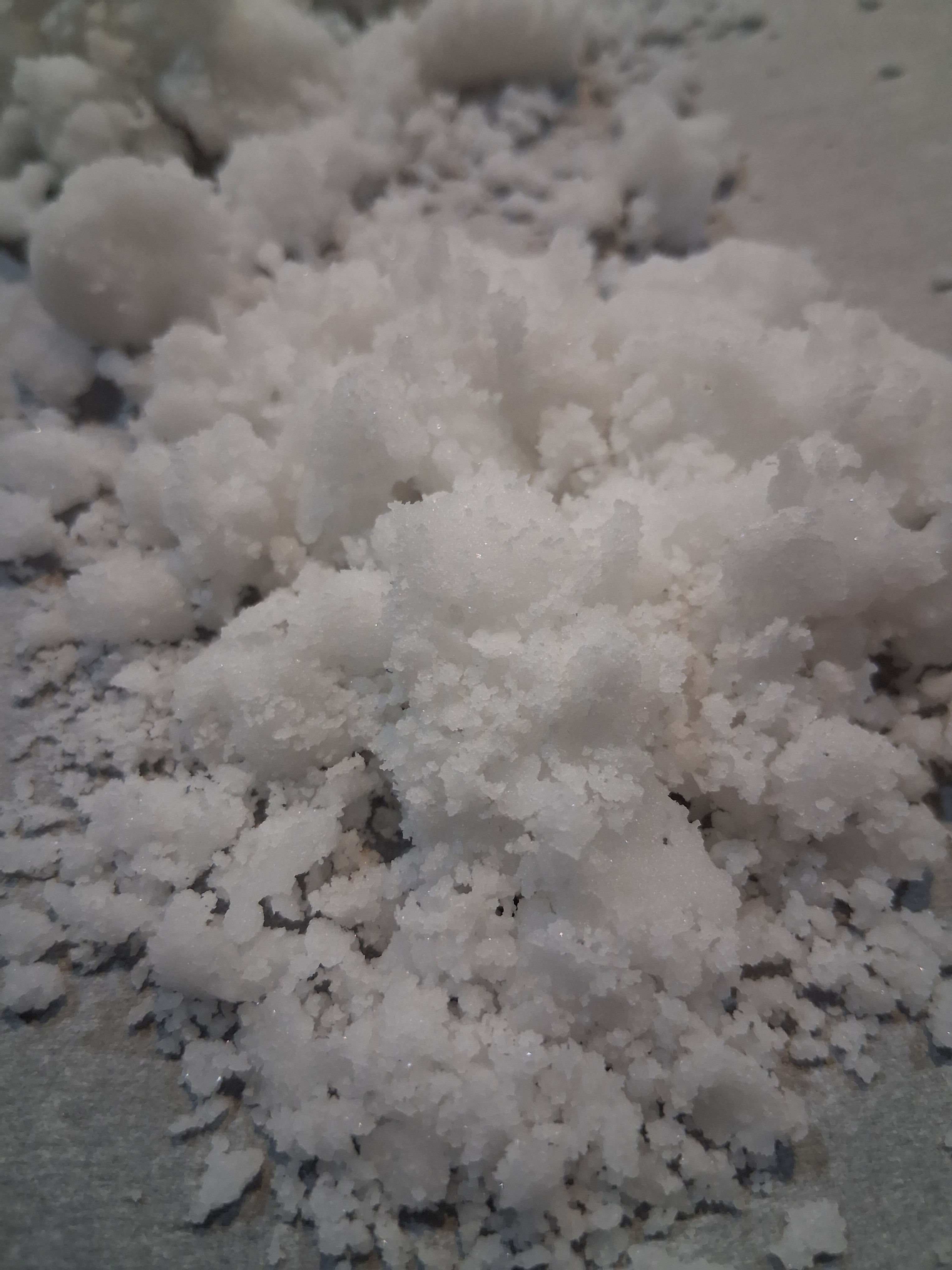 Salt Unit Lesson Plan