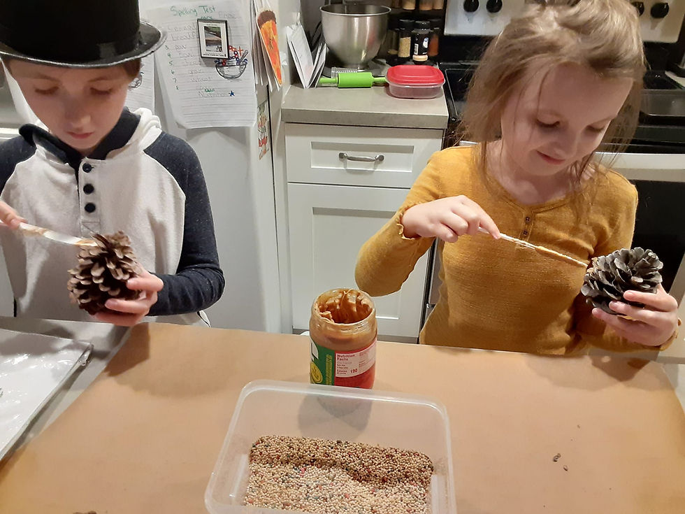 Thumbnail: Lovebirds Unit Lesson Plan