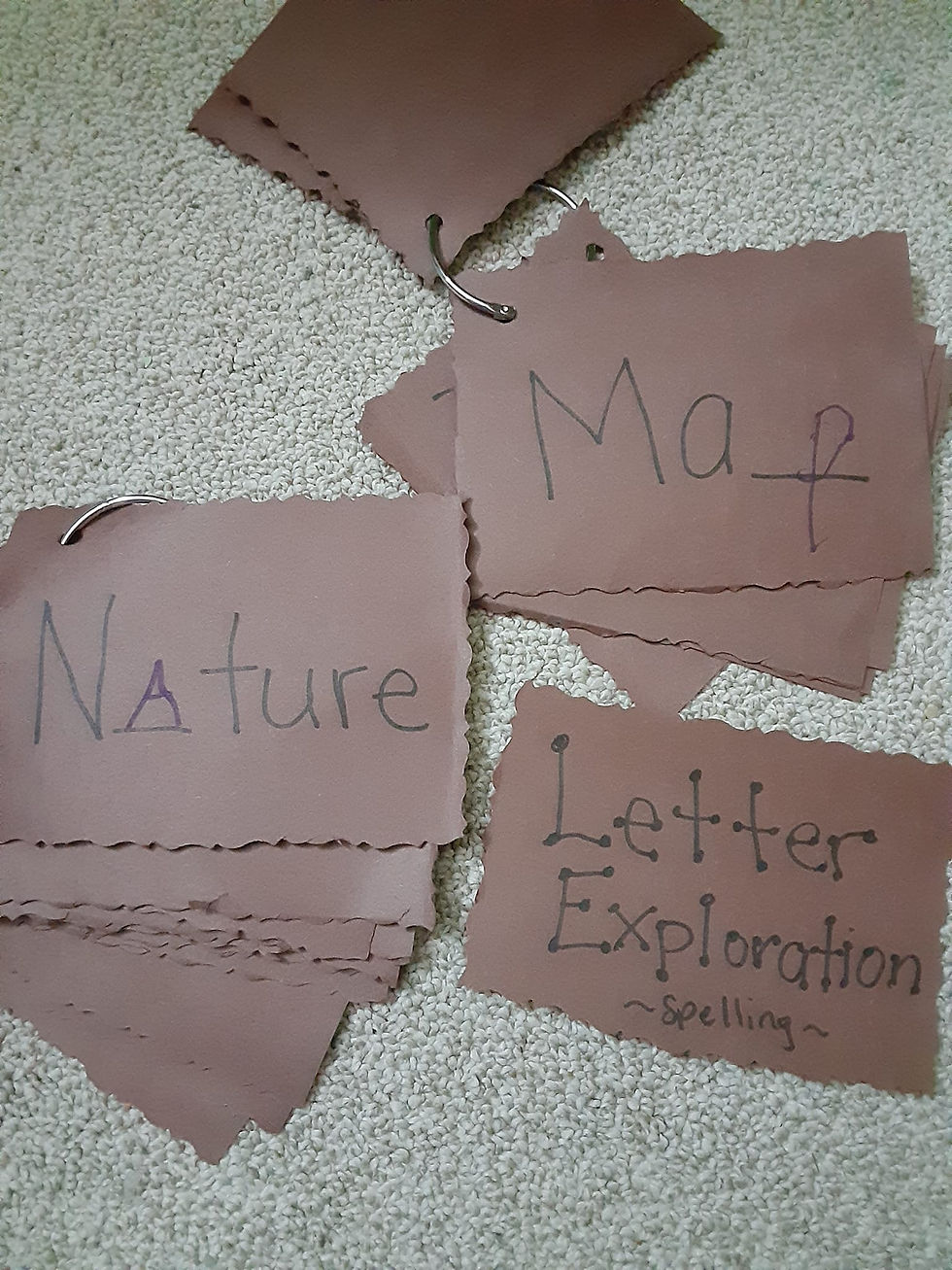 Homeschool Field Trips: Wilderness Unit field trip