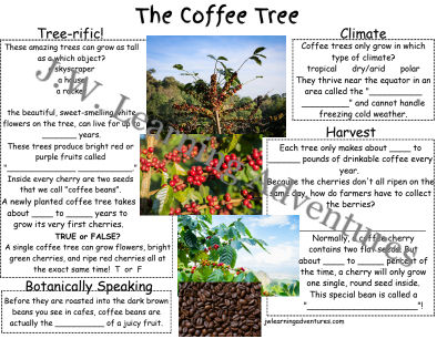 Thumbnail: Coffee Worksheet/Activity Pack
