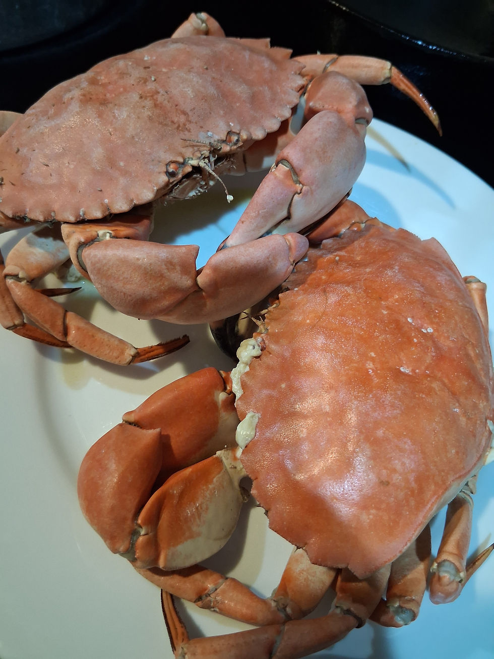 Thumbnail: Crab Unit Lesson Plan