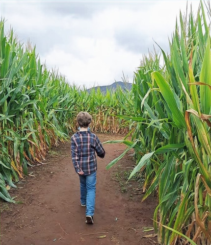 Popcorn Unit Lesson Plan | JWLearningAdventures