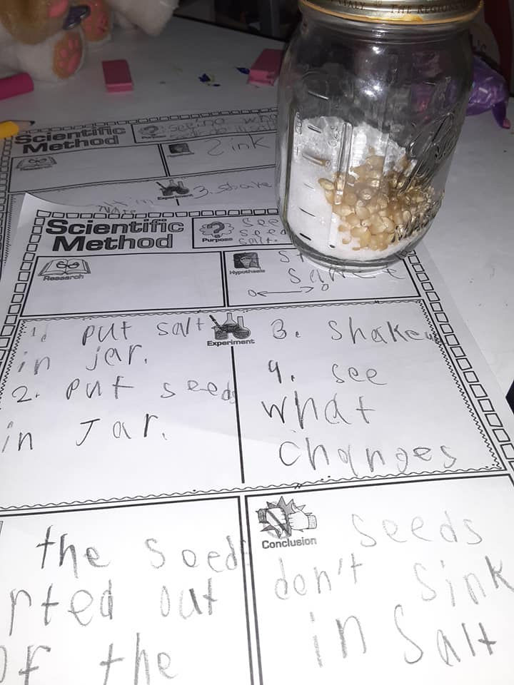 Popcorn Lesson Plan: Kernels in Salt Experiment
