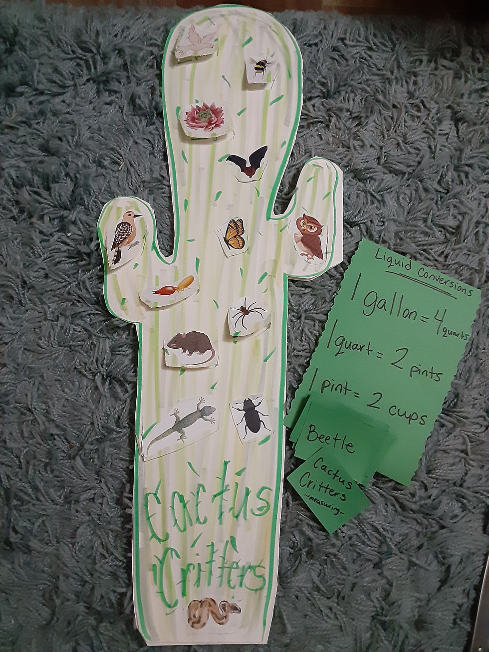 Thumbnail: Cactus Unit Lesson Plan
