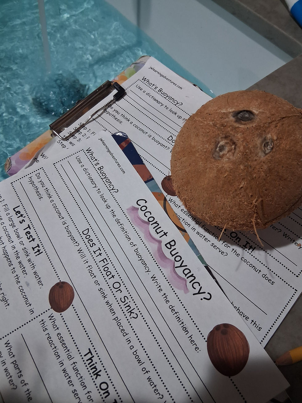 Thumbnail: Coconuts Worksheet/Activity Pack