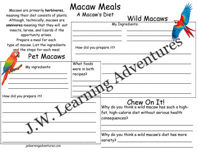 Thumbnail: Macaw Worksheets/Activities Pack