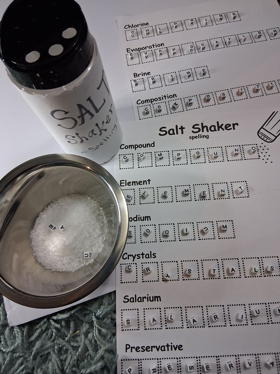 Thumbnail: Salt Unit Lesson Plan
