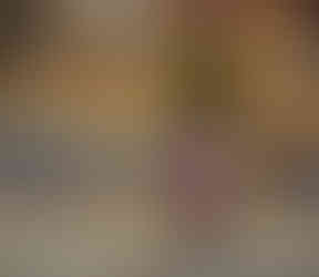 ، القيادة ، المواصلات في فيتنام ، الدراجات النارية ، شوارع فيتنام