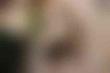 مدينة فيرونا التاريخية في ايطاليا كازا جوليتا روميو وجولييت