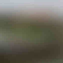 قلعة فافل الجزء التاريخ وسط البلد كراكوف بولندا