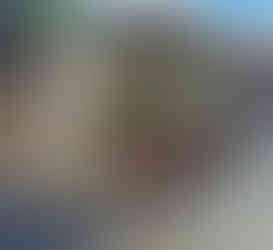 الجزء التاريخ وسط البلد كراكوف بولندا