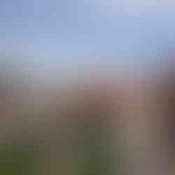 قلعة فافل الجزء التاريخ وسط البلد كراكوف بولندا