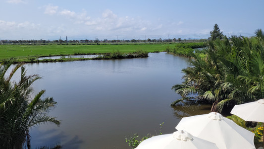 هوي ان فيتنام المدينة التاريخية مصابيح مقهى حقول الارز