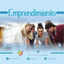 Foto del escritor: Emprende Bida Social