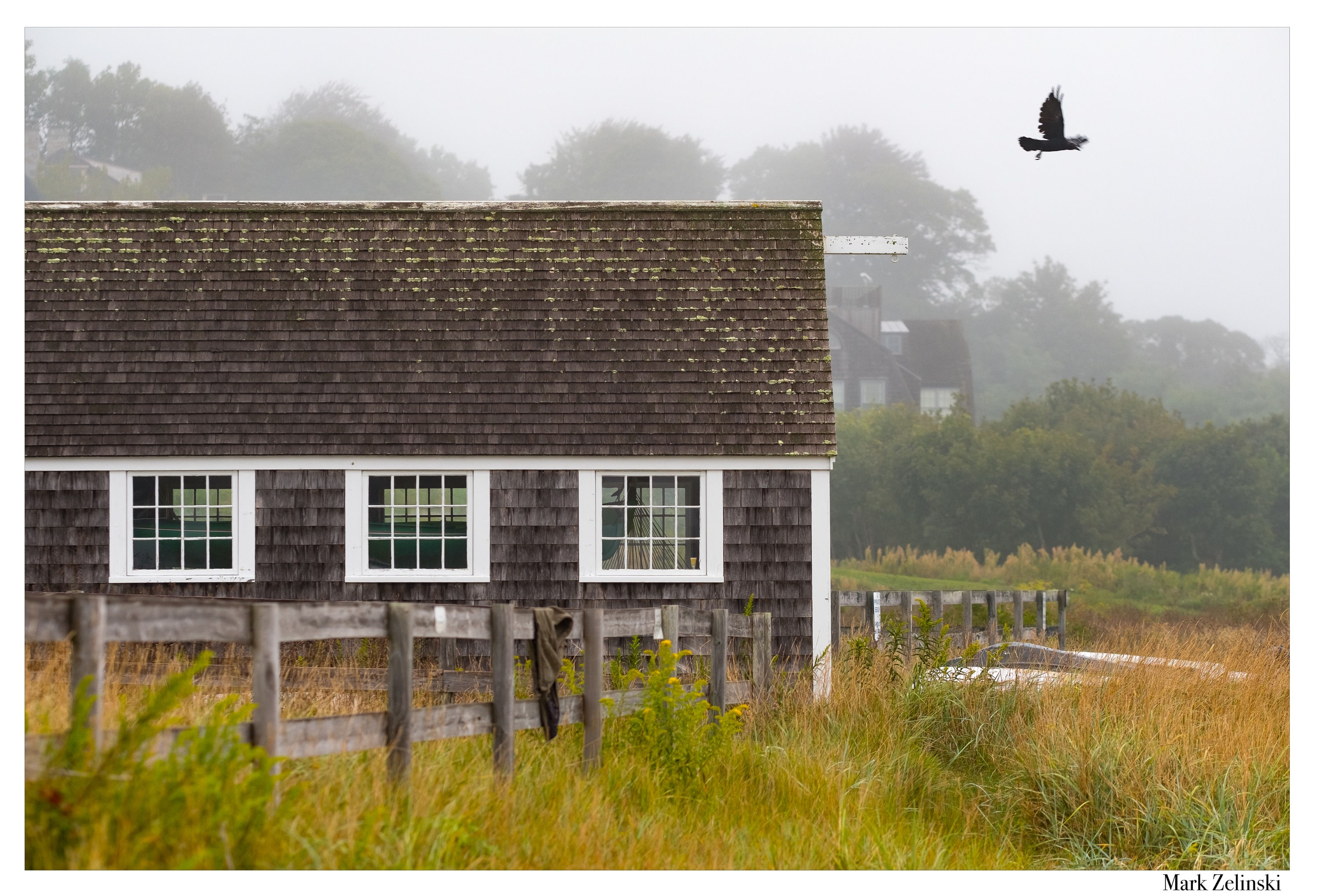 "Boathouse and a Crow"
