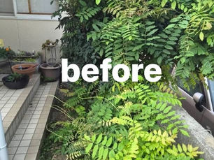 草刈り、草むしり、植木の剪定は、松山市の便利屋れいんまで。