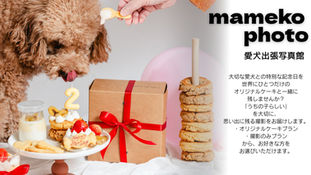 7/20(月)愛犬お誕生日撮影会【飼い主様・ペット向けイベント】