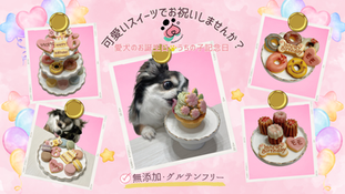  【ペット向け】愛犬の誕生日＆うちの子記念日♡可愛いスイーツでお祝いしませんか？