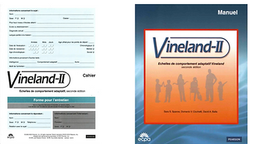 Capture d’écran 2025-04-03 à 13.14.50.png