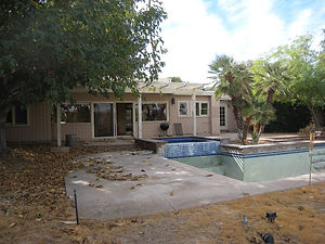 Joshua Tree Before.jpeg