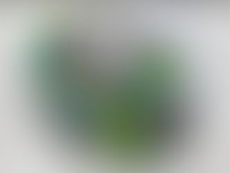 Use of Algae-Based Biofuels in Marine Diesel Engines — Injector-System Modifications