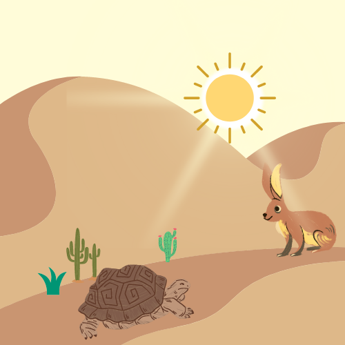 The Tortoise and the Hare