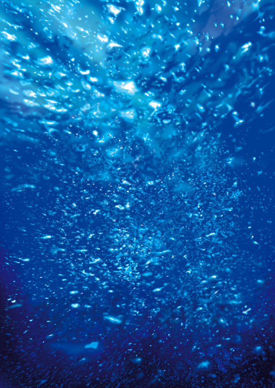 Shark Water