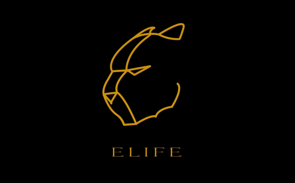 Elife Elsykler