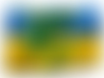 Ein Bulli voll Hilfsmittel - für die Menschen in der Ukraine