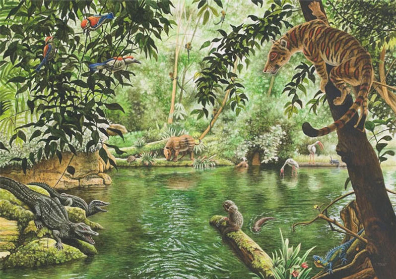 paleogeno-buena.jpg