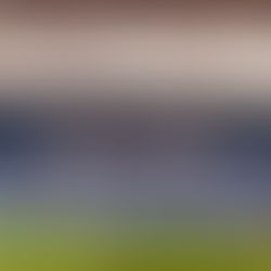 Sampdoria - Salernitana