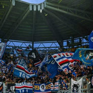Frosinone - Sampdoria
