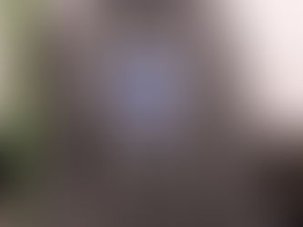 **NUOVA** FELPA SCUDO FEDELISSIMI