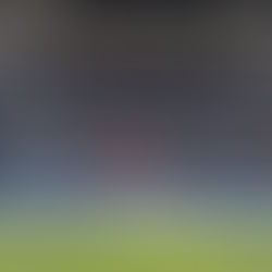 Sampdoria - Feralpisalò