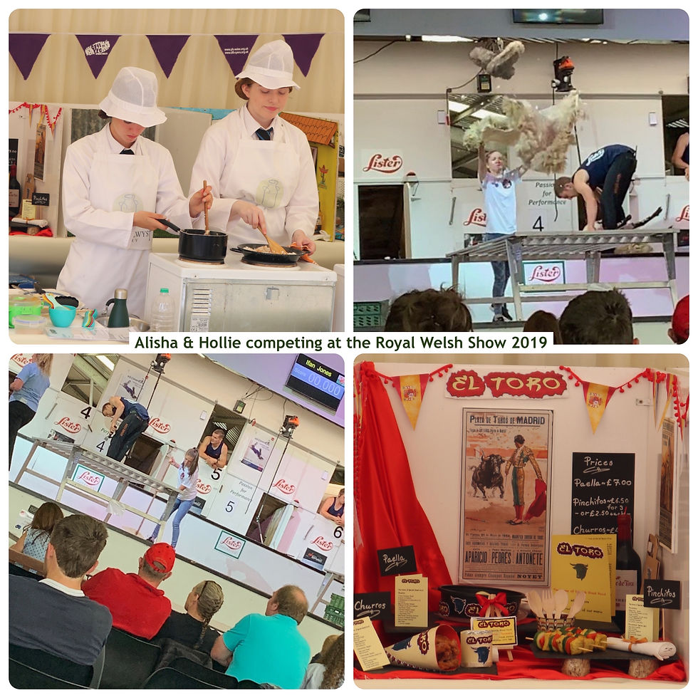 Royal Welsh Show 4